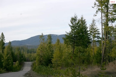 NNK B6 Northern Sky Rd, Athol, ID 83801 - photo 4