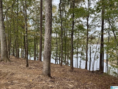 0 Dancing Waters Way, Wedowee, AL 36278 - photo 2