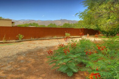Backyard Views