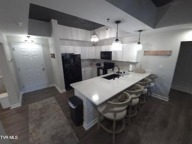 120 Raceday Center Dr unit 604, Bristol, TN 37620 - photo 2