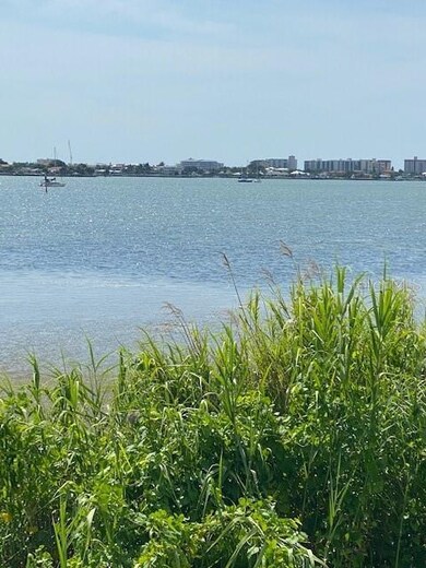 0 Palm Bluff St, Clearwater, FL 33755 - photo 5