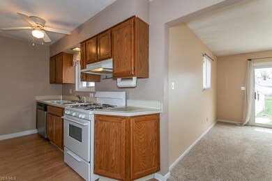 1667 Ridgeview Dr, Wickliffe, OH 44092 - photo 5