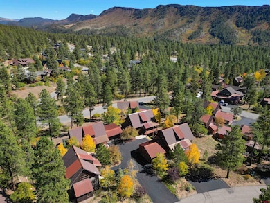 212 Copper Rim Trail unit B, Durango, CO 81301 - photo 3