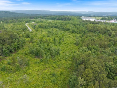 3 acres Highway 336 E, Clinton, AR 72031 - photo 4