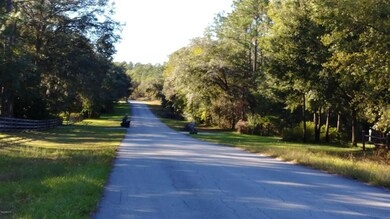 0 SW 93rd Lane Rd unit 516240, Dunnellon, FL 34432 - photo 7