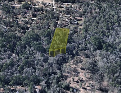 0 Petty, Conroe, TX 77306 - photo 3