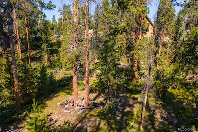 917 Tallaqua Dr, Grand Lake, CO 80447 - photo 5