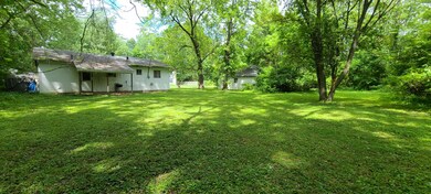 Backyard #1