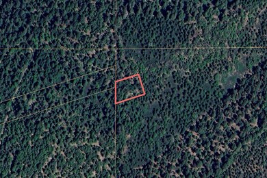 No Address Texas Hill Rd, Emigrant Gap, CA 95715 - photo 4