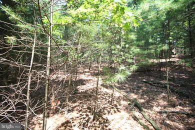 Lot 14 Slate Rock Pass Rd, Wardensville, WV 26851 - photo 7