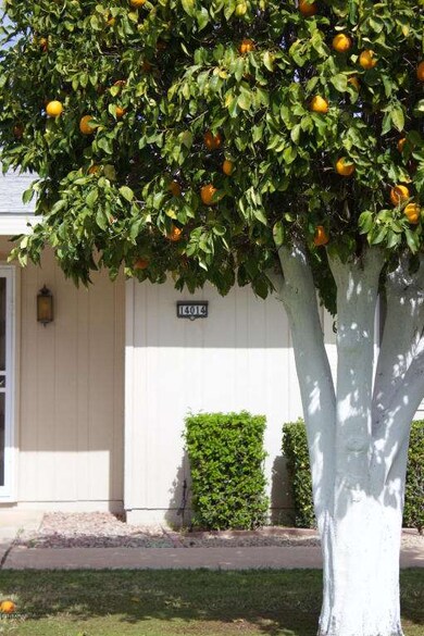 14014 N Thunderbird Blvd, Sun City, AZ 85351 - photo 3