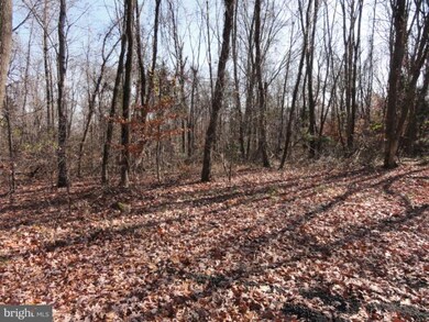 0 Mount Gilead Rd unit 1000602785, Leesburg, VA 20175 - photo 6