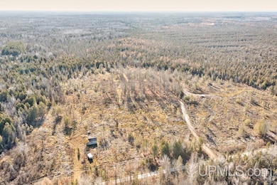 9311 County 509 Y Rd, Ensign Township, MI 49878 - photo 5