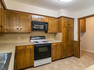 Photo. Kitchen