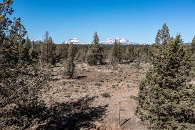 2021_06_17_67483_trout_ln_lot_sisters-29