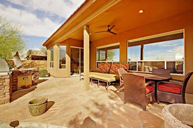 backyard 1