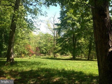 19274 Clover Hill Rd, Jeffersonton, VA 22724 - photo 6