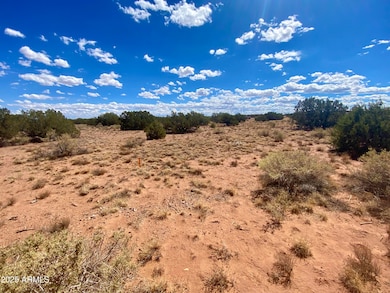 2) 65267-6915e70ae1282