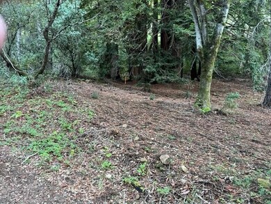 0 Redwood Retreat Rd, Gilroy, CA 95020 - photo 5