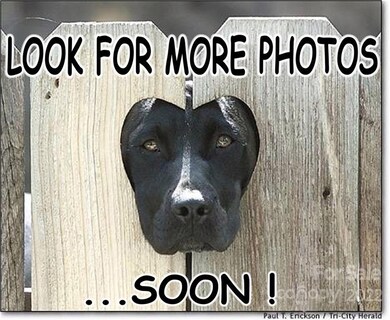 899 Hasty Rd, Marshville, NC 28103 - photo 5