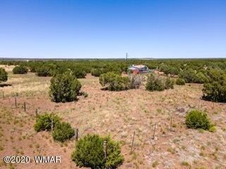 8508 Powell Ln, Show Low, AZ 85901 - photo 6