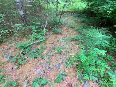 0 Bunker Creek Rd unit NWM2433960, Adna, WA 98522 - photo 5