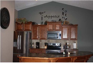 Knotty Alder Cabinets