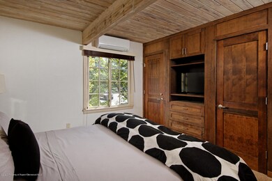 630 E Cooper Ave unit 13, Aspen, CO 81611 - photo 4