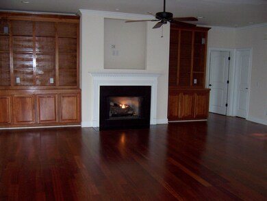 4 Gas Fireplace - Copy