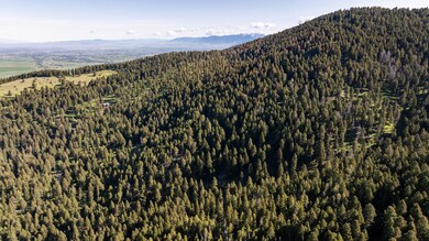 3900 Cottonwood Ranch Trail, Bozeman, MT 59718 - photo 2