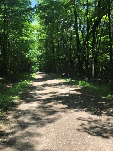 0 Sleeper Rd unit 4863849, Hillsboro, NH 03244 - photo 5