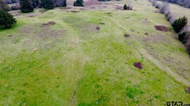 14151 Fm 848, Whitehouse, TX 75791 - photo 6