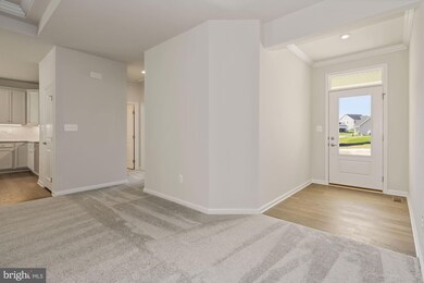 552 Monocacy Trail, Spring Grove, PA 17362 - photo 6