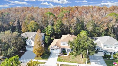 561 Lakewood Dr, Oldsmar, FL 34677 - photo 6