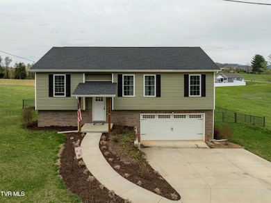 90 N Carr Ln, Fall Branch, TN 37656 - photo 2