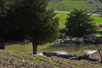 711 Bethel Rd, Harrodsburg, KY 40330 - photo 7