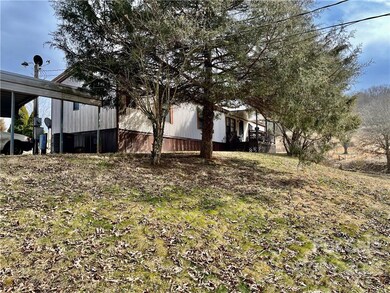 1088 Gouges Branch Rd, Leicester, NC 28748 - photo 3