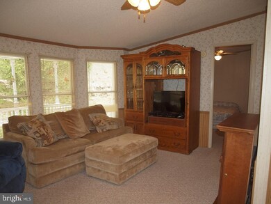 829 Brushy Run Rd, Seneca Rocks, WV 26884 - photo 7
