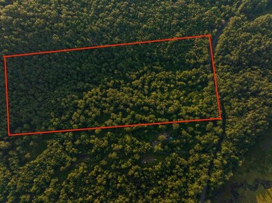 0 Northfield Rd unit 73384011, Warwick, MA 01378 - photo 4