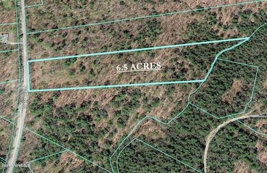 LOT9 Benton Hill Rd, Becket, MA 01223 - photo 6