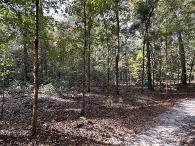 0 NE 125th Ln, Branford, FL 32008 - photo 2