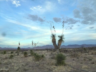 7.8 Acres S Acacia Ln, Portal, AZ 85632 - photo 6