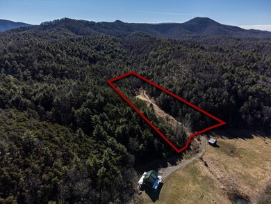 TBD Leatherneck Ln, Sugar Grove, WV 26815 - photo 5