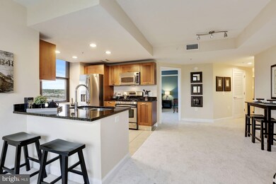 Midtown Alexandria Station Condominiums unit 1119, Alexandria, VA 22303 - photo 4