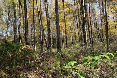 172 Camp Dr, Windber, PA 15963 - photo 7