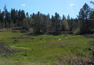 0 Tl 1800 Butte Falls Hwy unit 102976370, Butte Falls, OR 97524 - photo 2