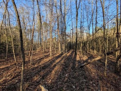 0 Ridgeway Rd unit 1524463, Trion, GA 30753 - photo 6