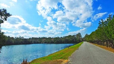 Lot 9 Old Tabby Trail, Darien, GA 31305 - photo 5