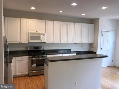 21492 Foche Terrace, Broadlands, VA 20148 - photo 5