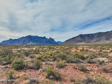 Tbd Foothills Rd unit A, Portal, AZ 85632 - photo 3